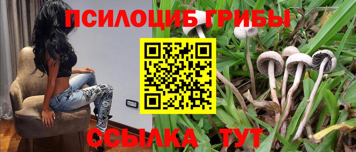 Псилоцибиновые грибы ЛСД Тулун