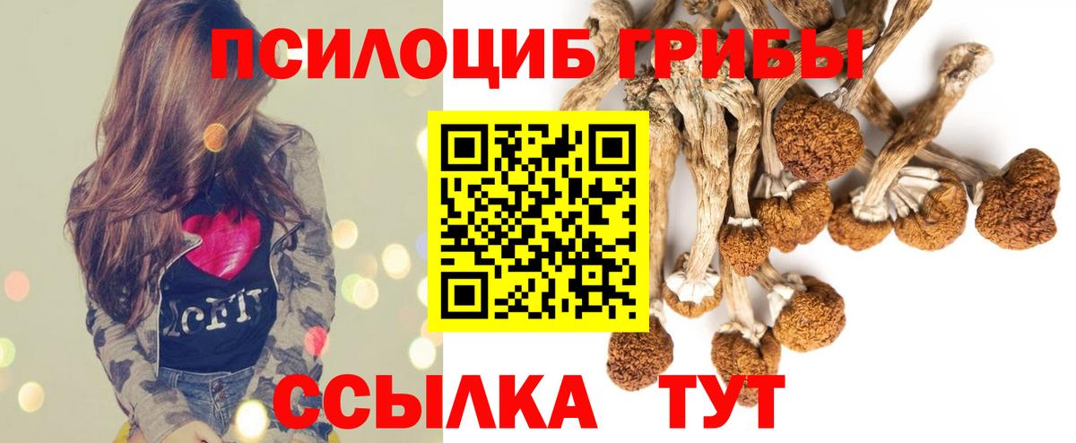 Псилоцибиновые грибы Psilocybine cubensis  Вход с VPN  наркота  Тулун 